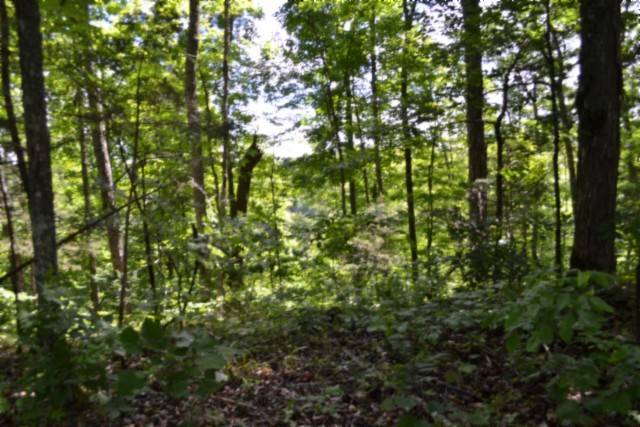 0 Beauchamp Rd, Burkesville, KY 42717