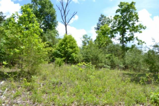 0 Beauchamp Rd, Burkesville, KY 42717