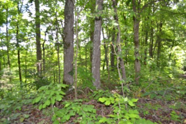 0 Beauchamp Rd, Burkesville, KY 42717