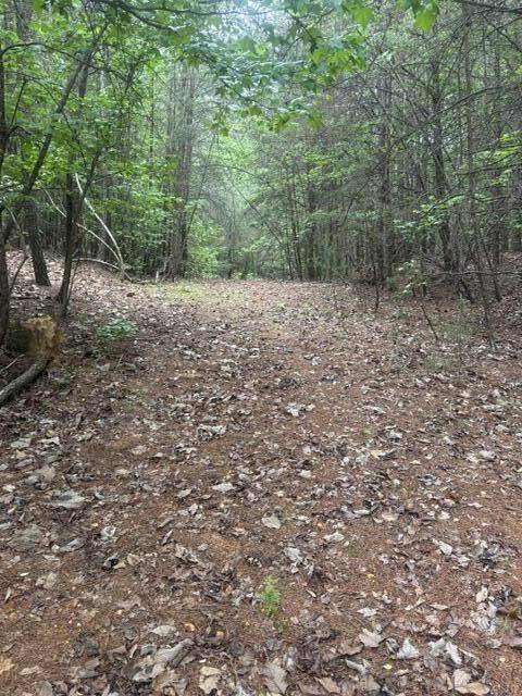 0 Candies Creek Road #SW, Mc Donald, TN 37353
