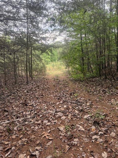 0 Candies Creek Road #SW, Mc Donald, TN 37353