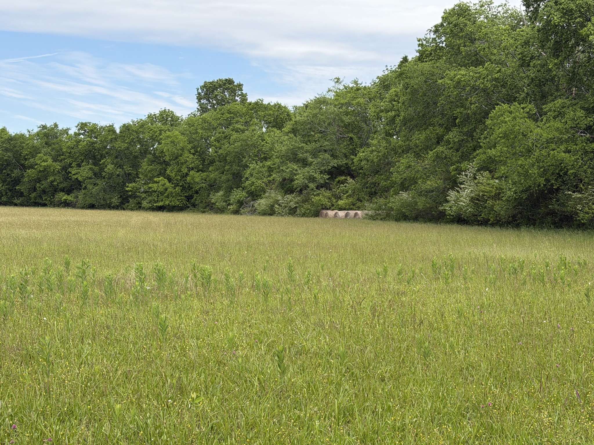 0 Madison Creek Road, Goodlettsville, TN 37072