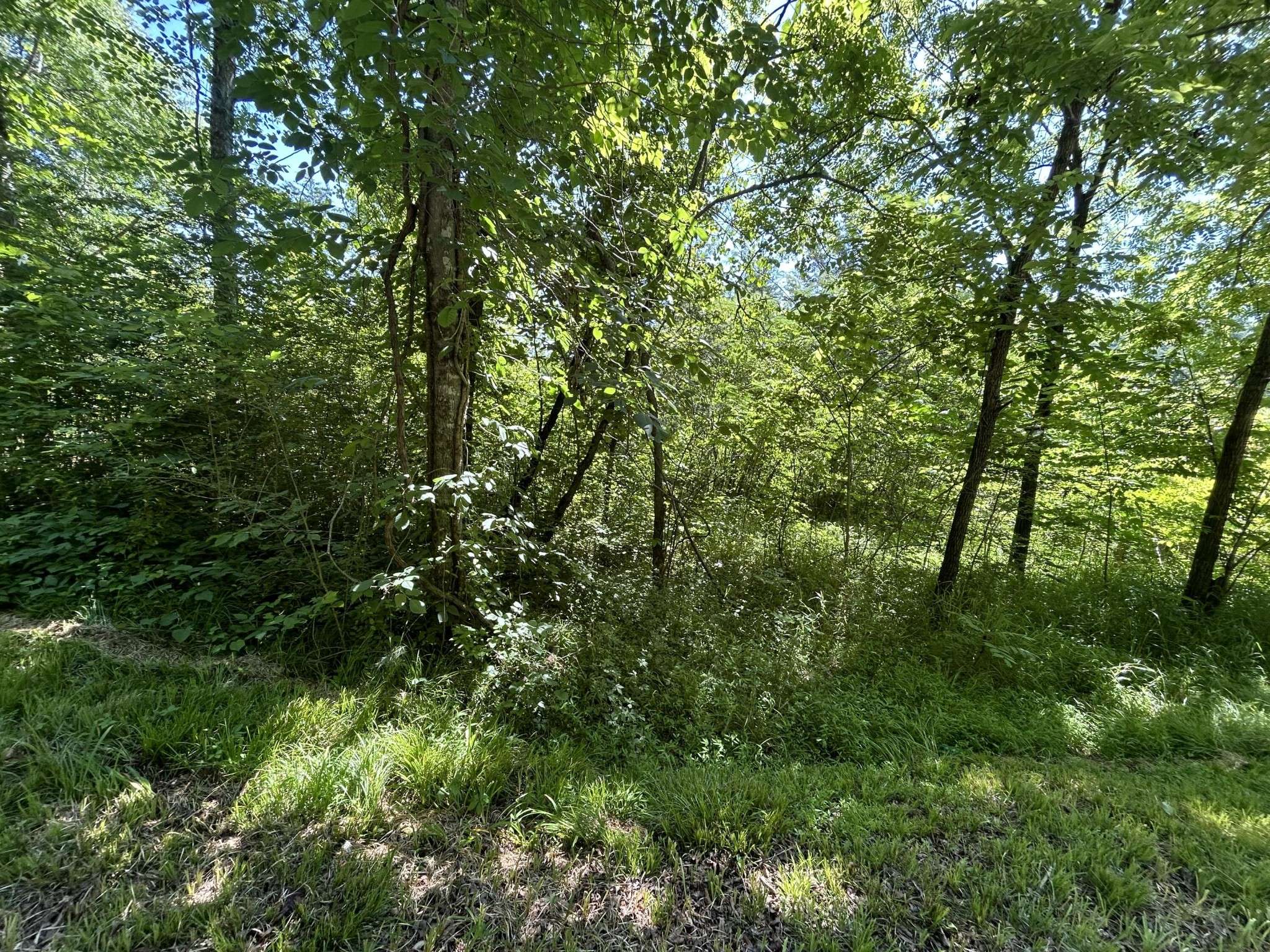 0 Dr Johnson Road, Crandall, GA 30711