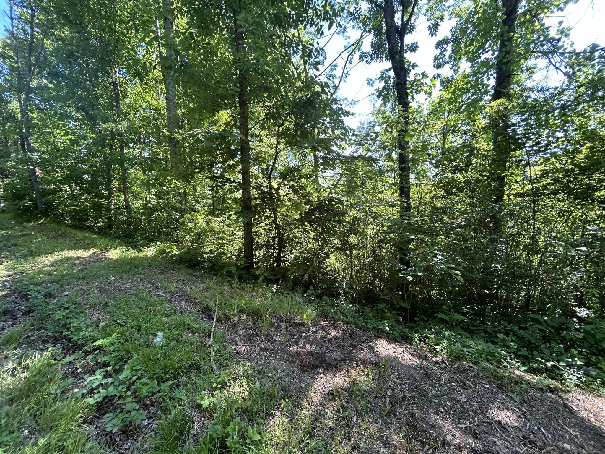 0 Dr Johnson Road, Crandall, GA 30711