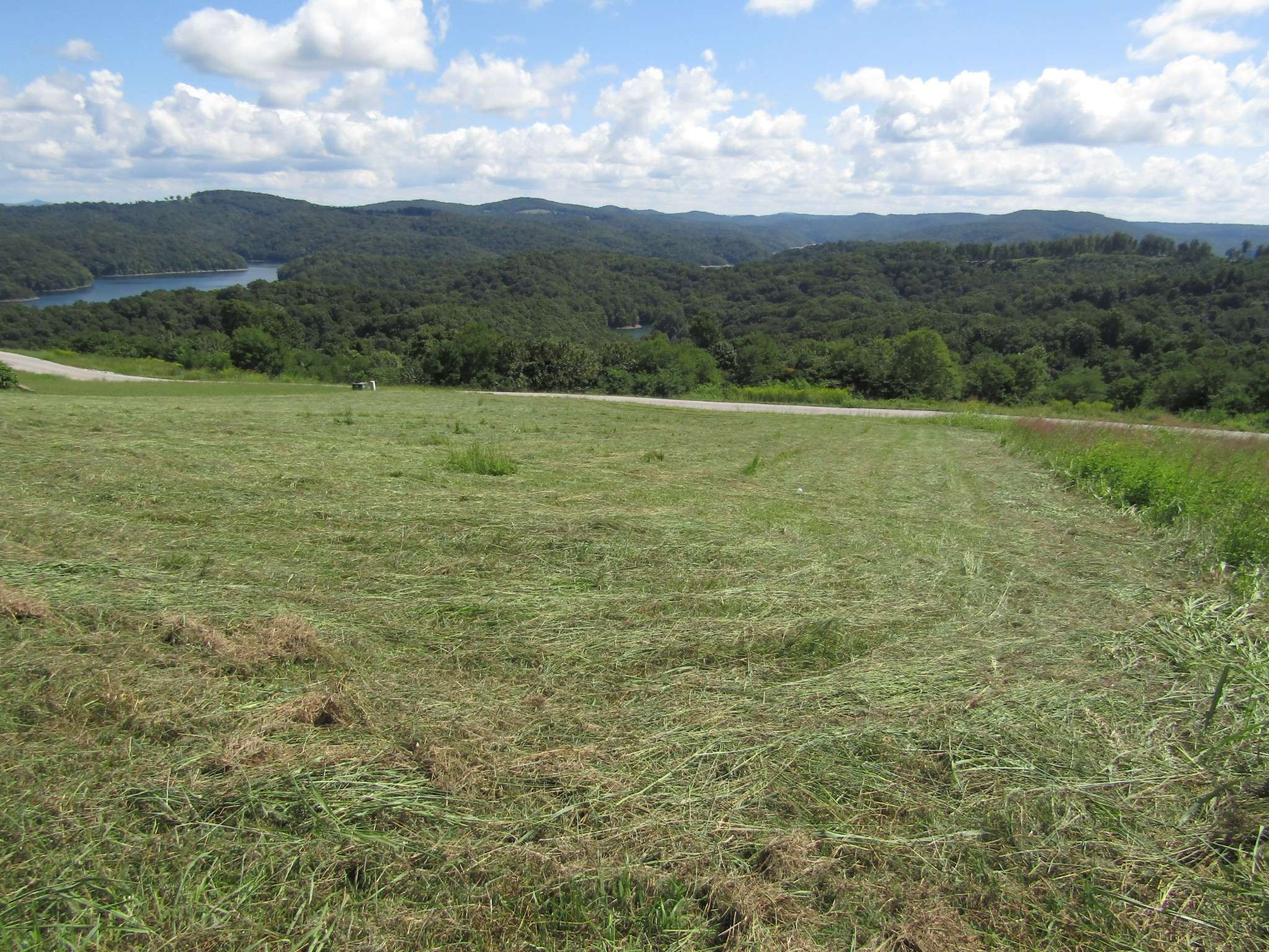48 Swan Ridge Rd #E, Hilham, TN 38568