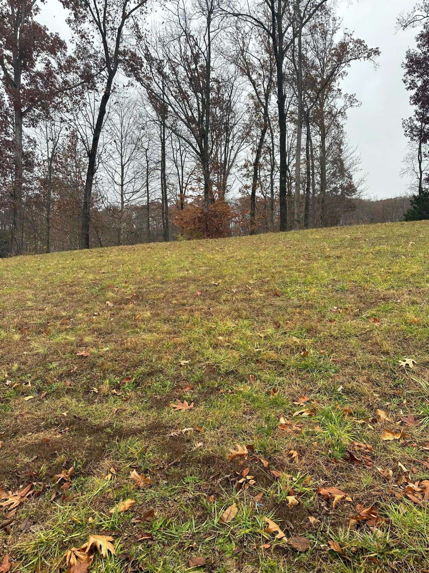 12 Ridge Park Drive #NE, Cleveland, TN 37311