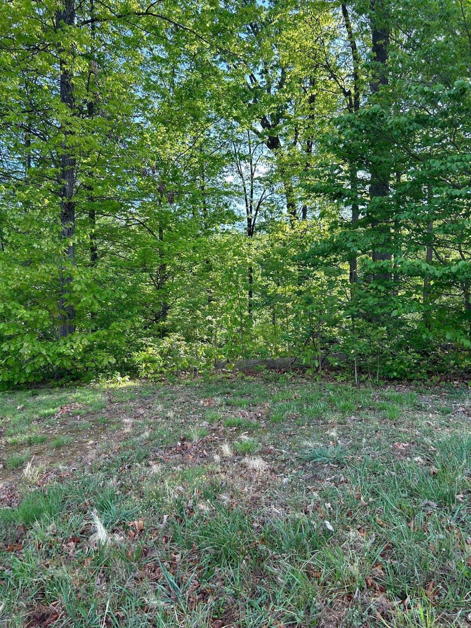 12 Ridge Park Drive #NE, Cleveland, TN 37311