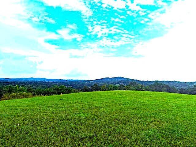 0 Overlook Lane, Shelbyville, TN 37160