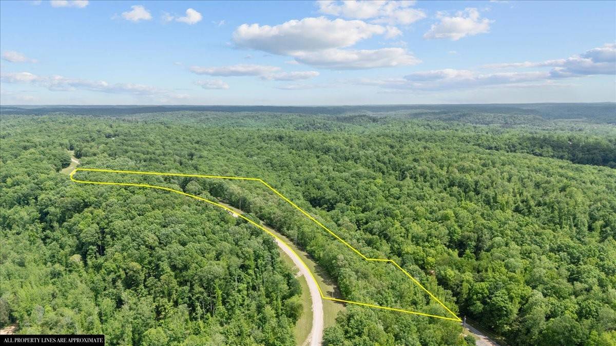 0 Rustic Valley Drive, Waverly, TN 37185