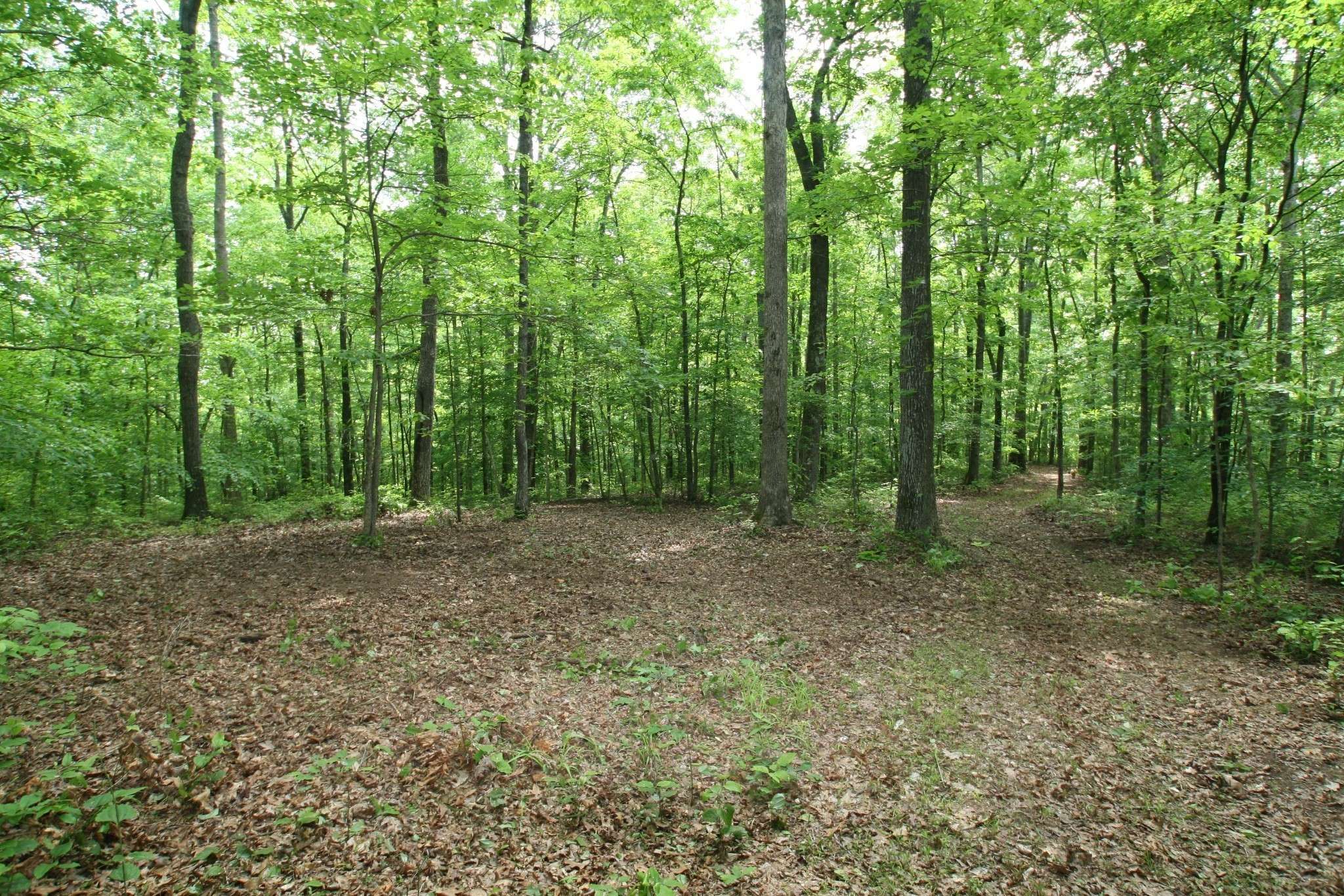 5671 Pinewood Rd, Franklin, TN 37064