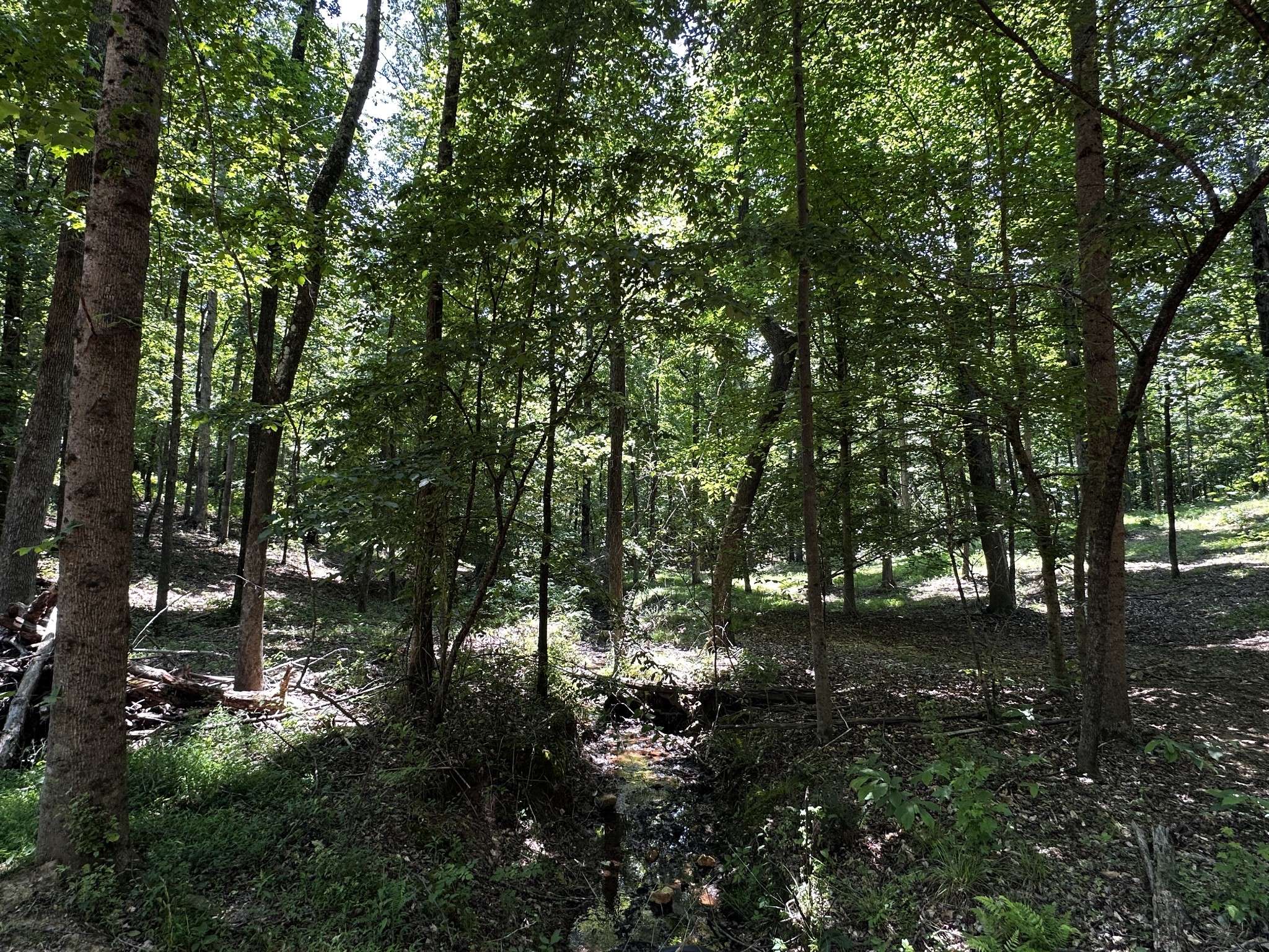 0 Littrell Road, Loretto, TN 38469