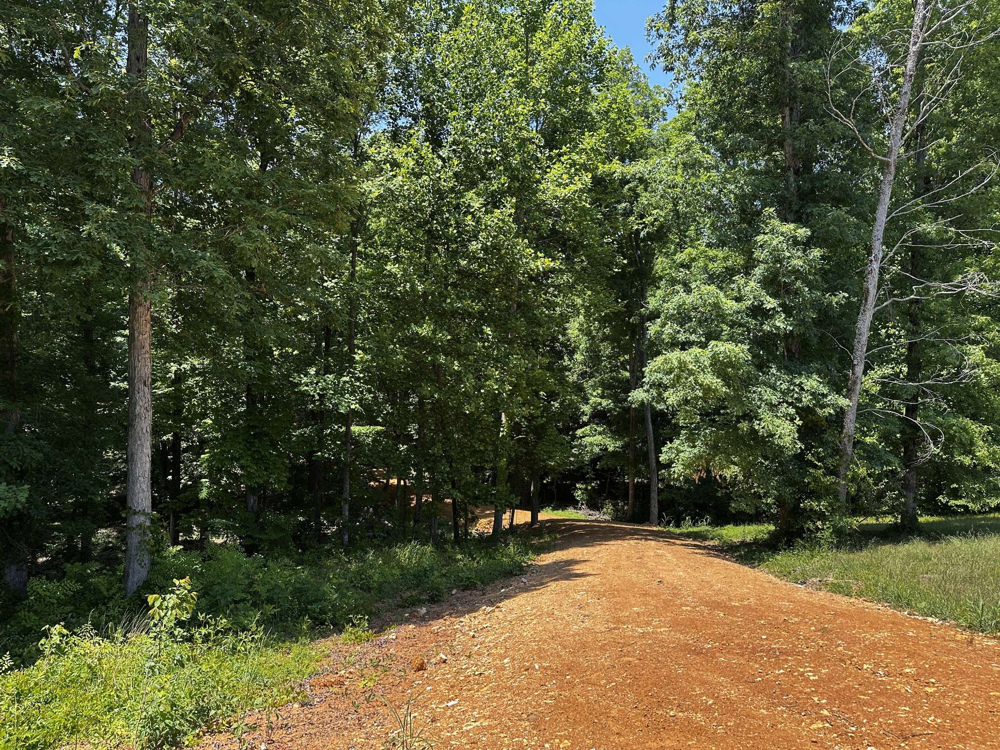 0 Littrell Road, Loretto, TN 38469