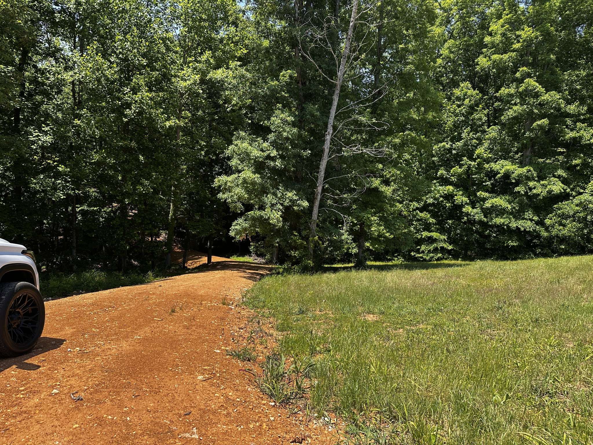0 Littrell Road, Loretto, TN 38469