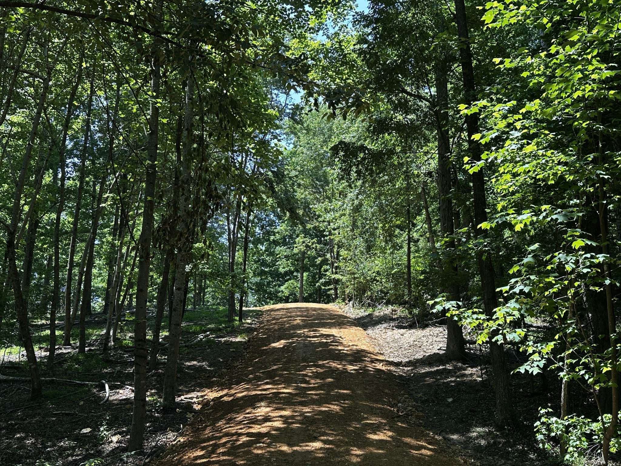 0 Littrell Road, Loretto, TN 38469