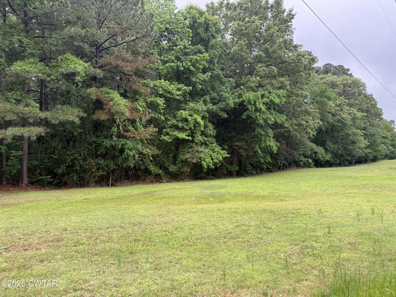 0 Mathis Crossing Rd, Milan, TN 38358