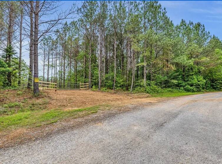 112 Cabin Rd, Hohenwald, TN 38462