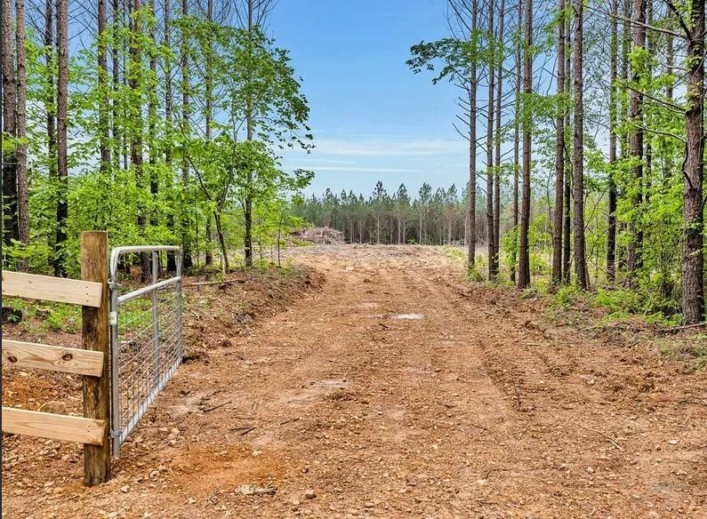 112 Cabin Rd, Hohenwald, TN 38462