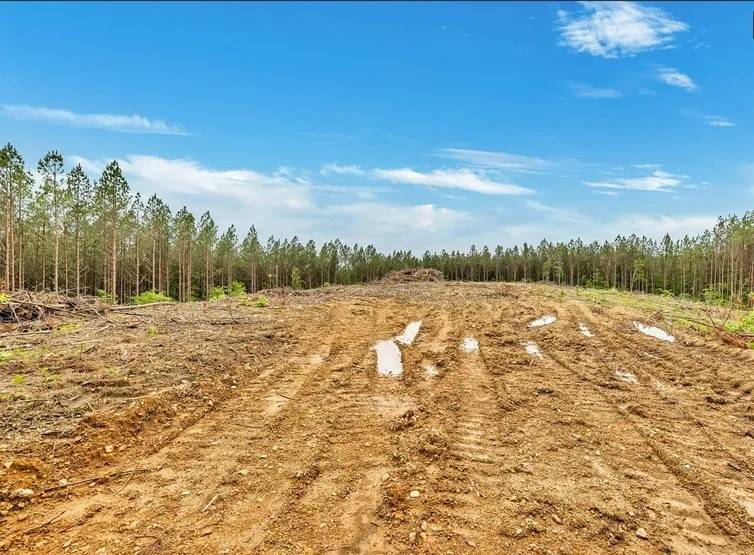 112 Cabin Rd, Hohenwald, TN 38462