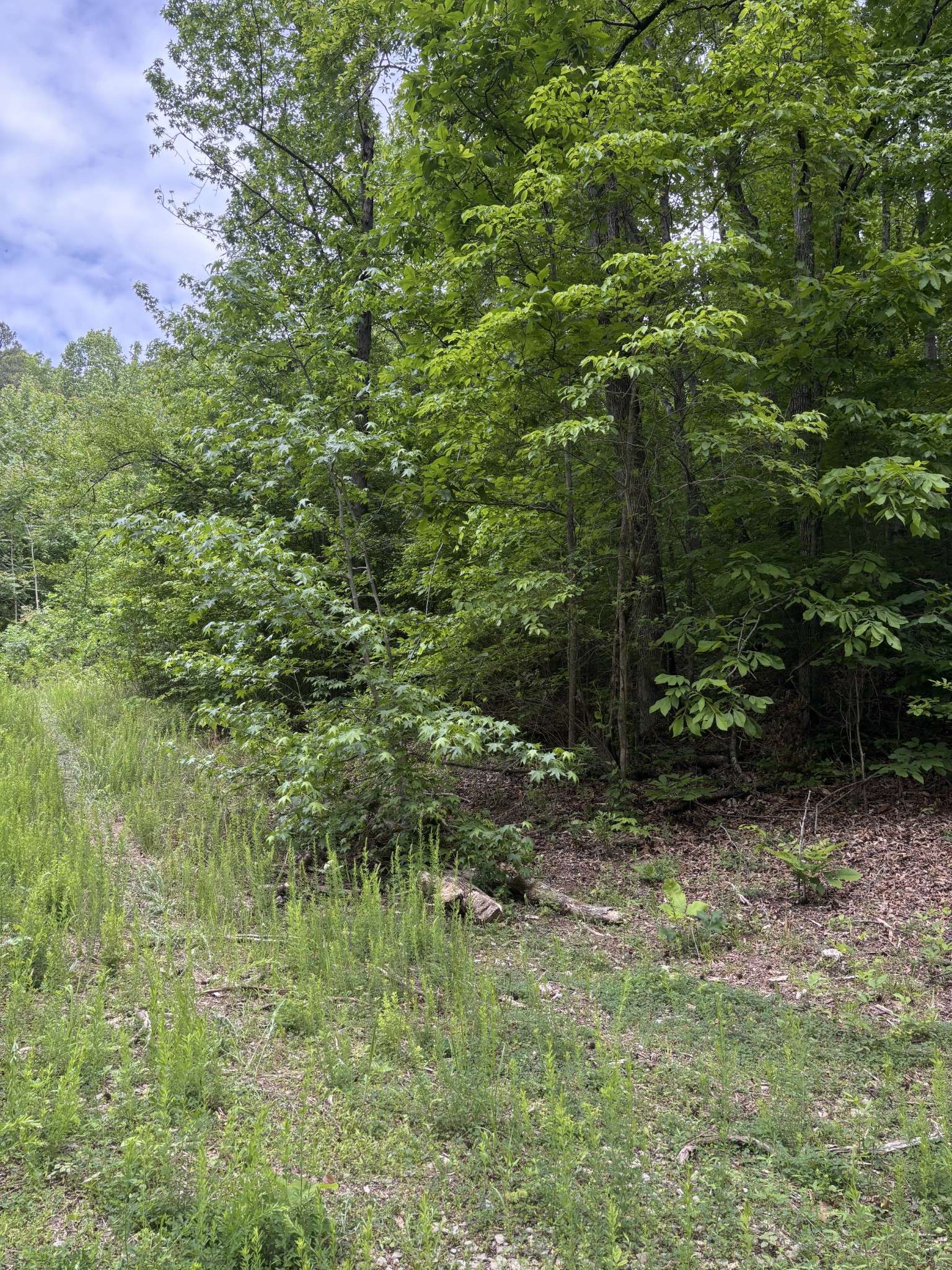 225 Hollow Road, Whitwell, TN 37397