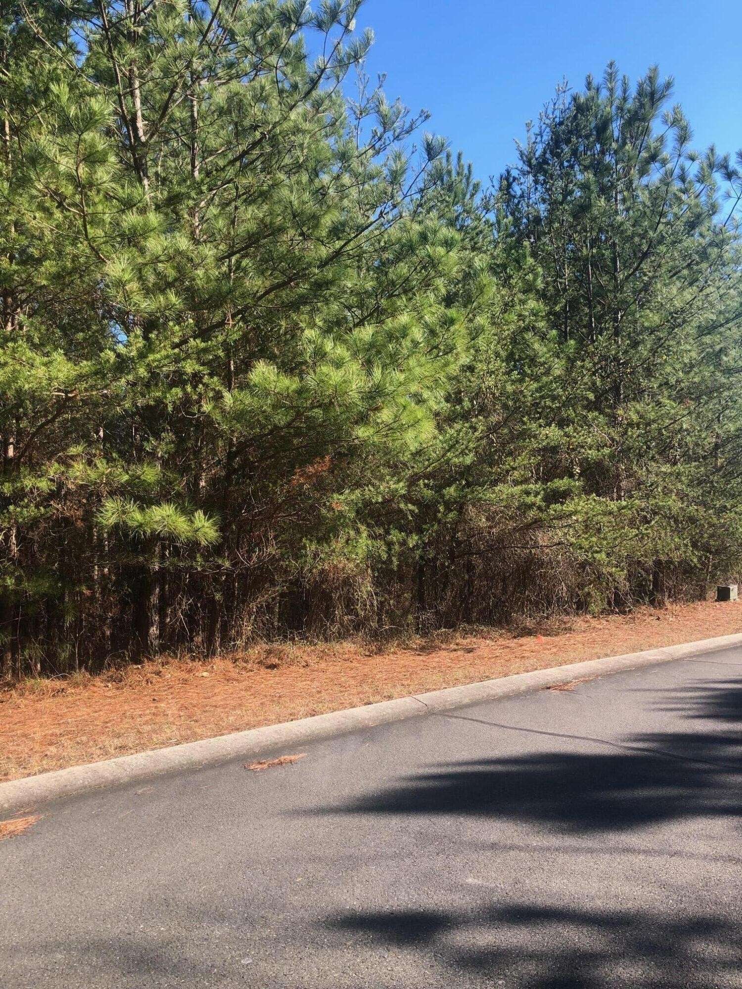 136 Cherokee Ridge Drive, Ocoee, TN 37361