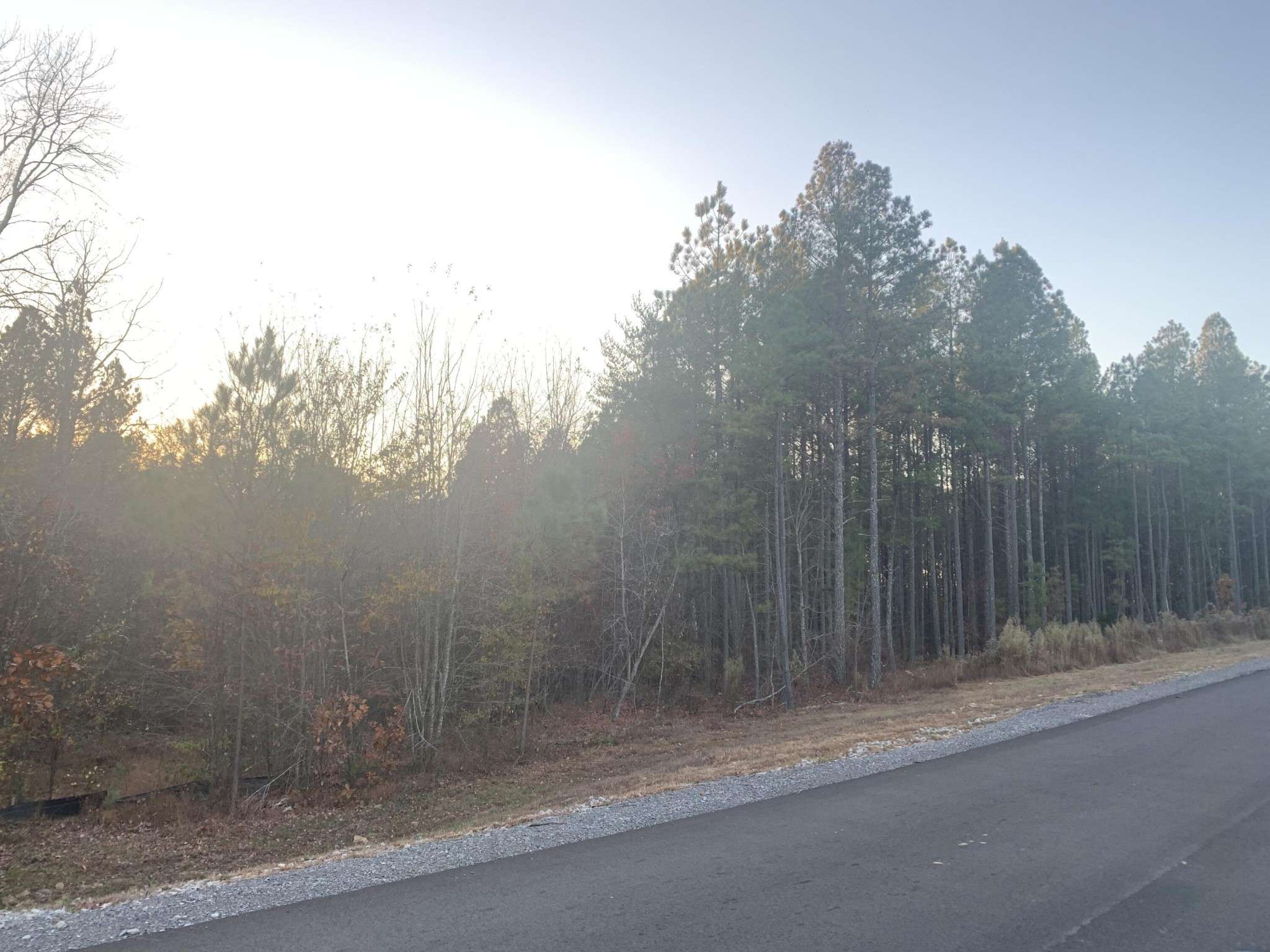 940 Crockett Point, Jasper, TN 37347