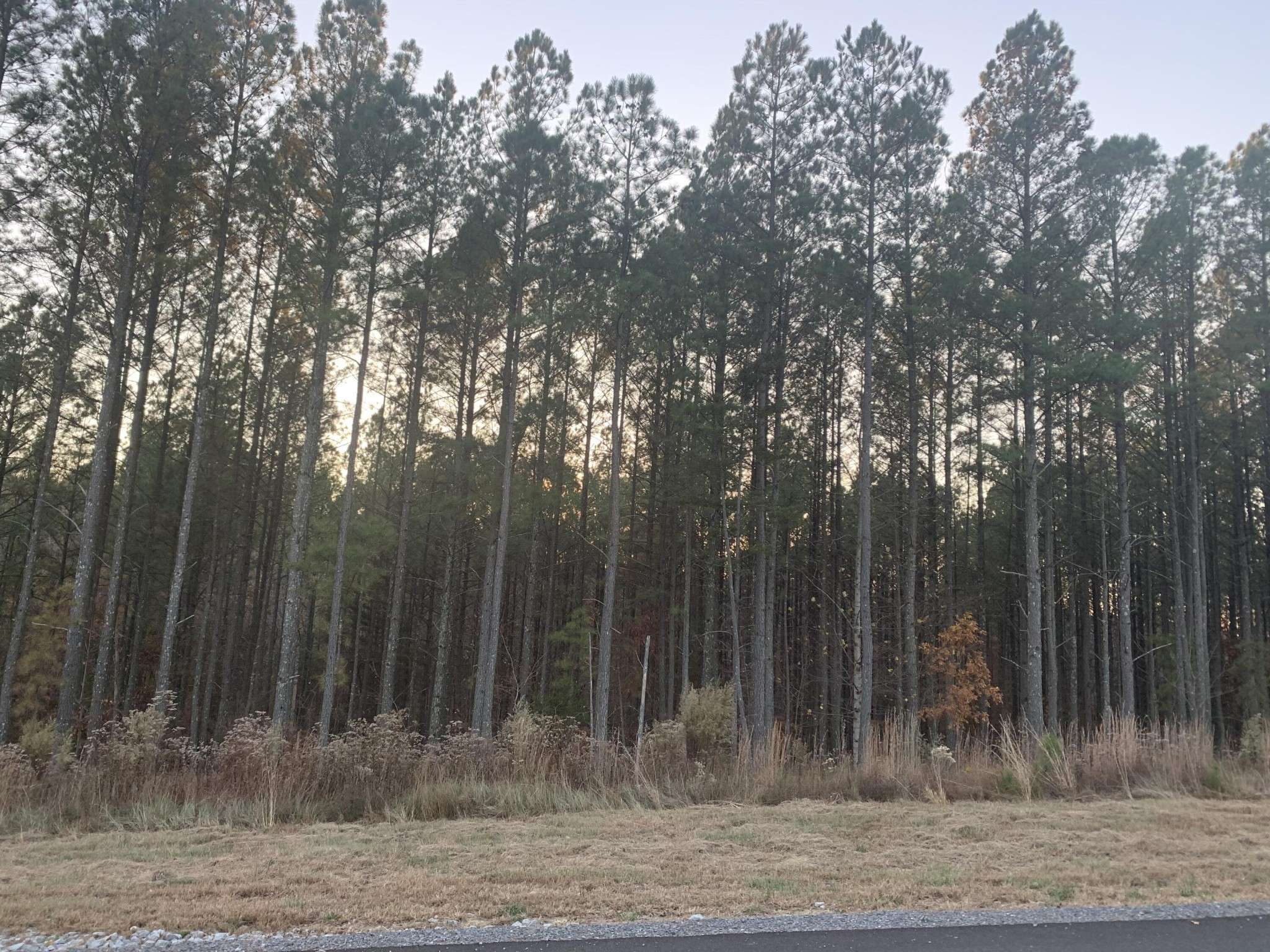 940 Crockett Point, Jasper, TN 37347