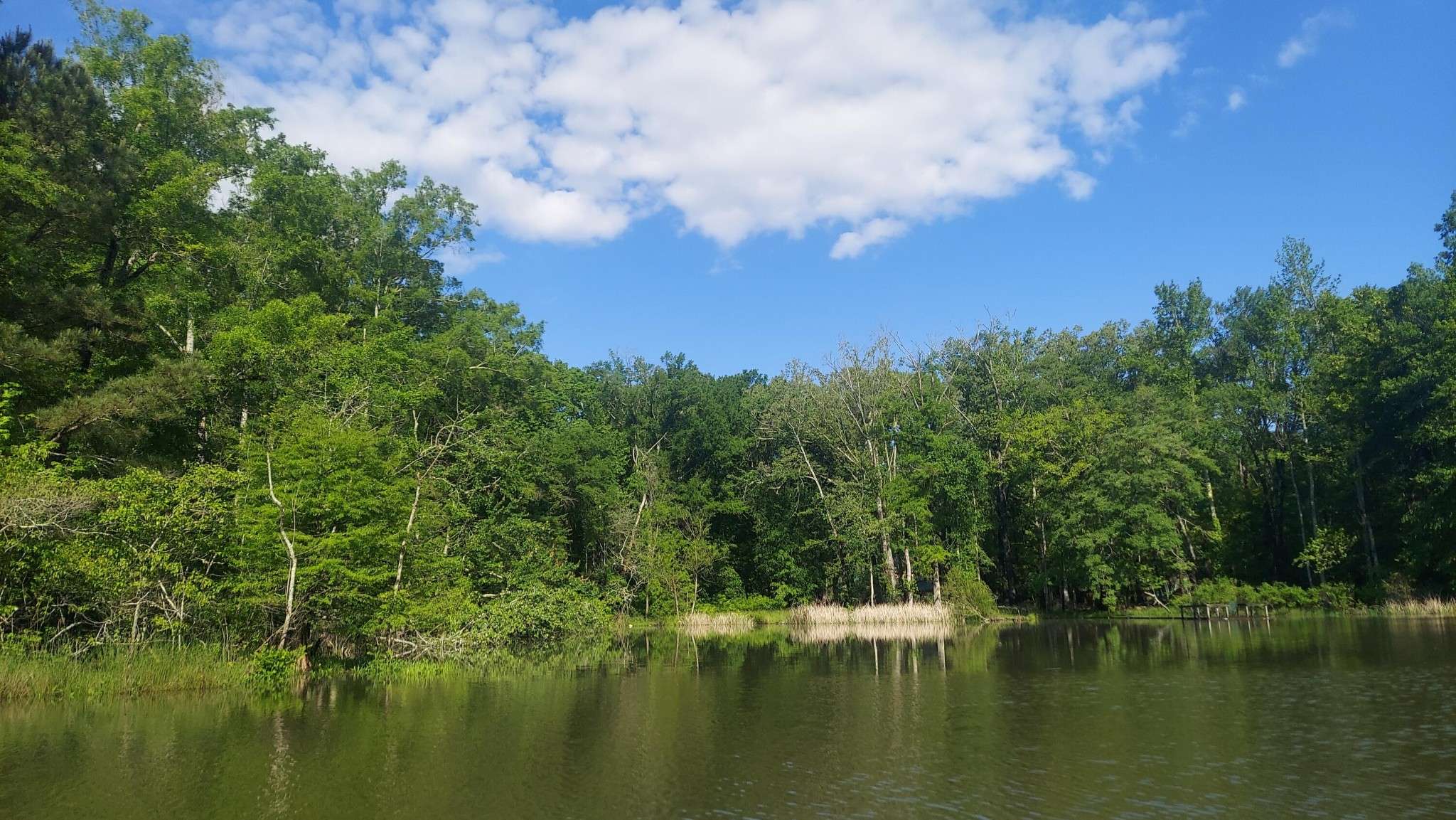 4 Warren Lane, Decatur, TN 37322