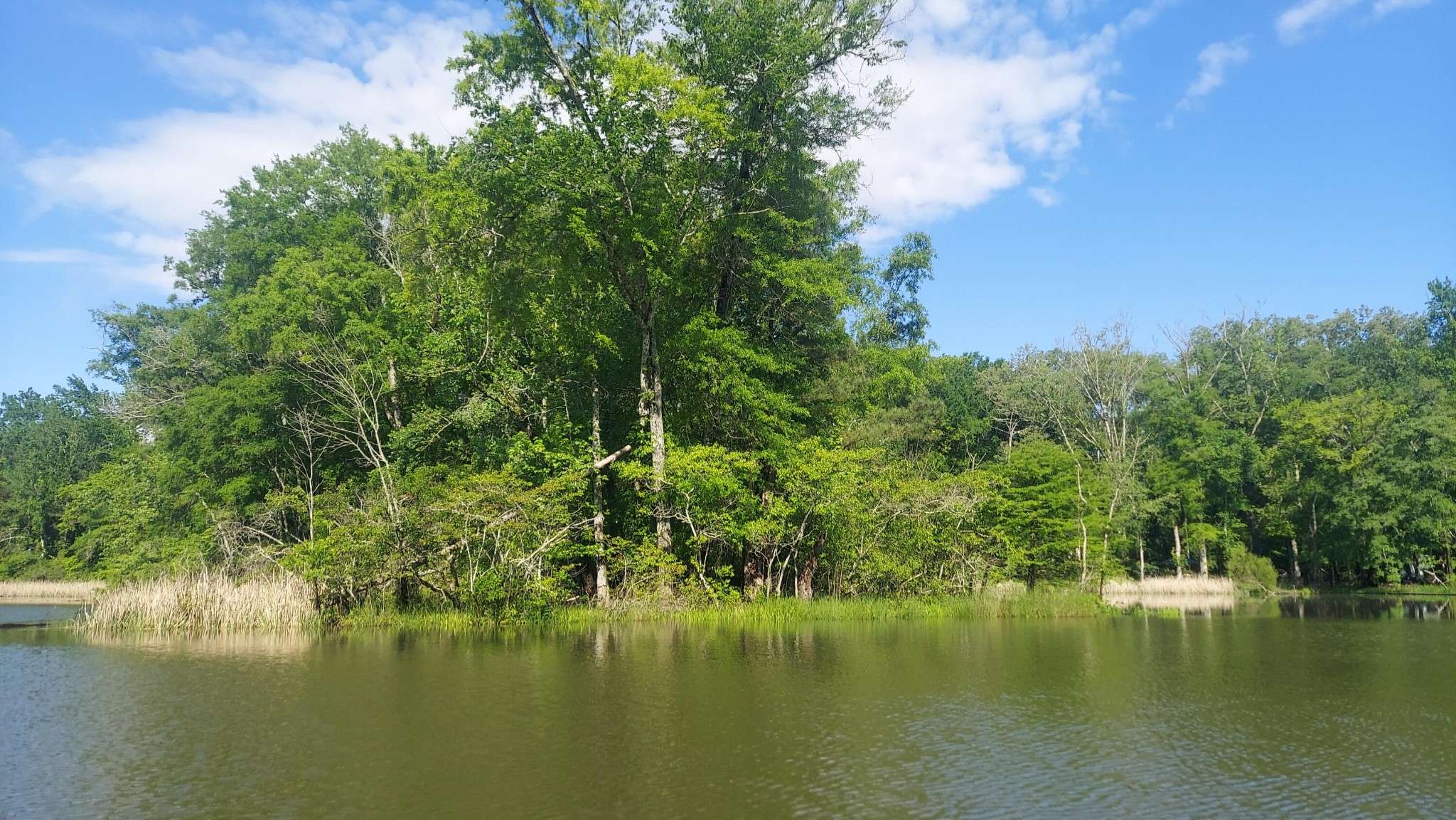 5 Warren Lane, Decatur, TN 37322