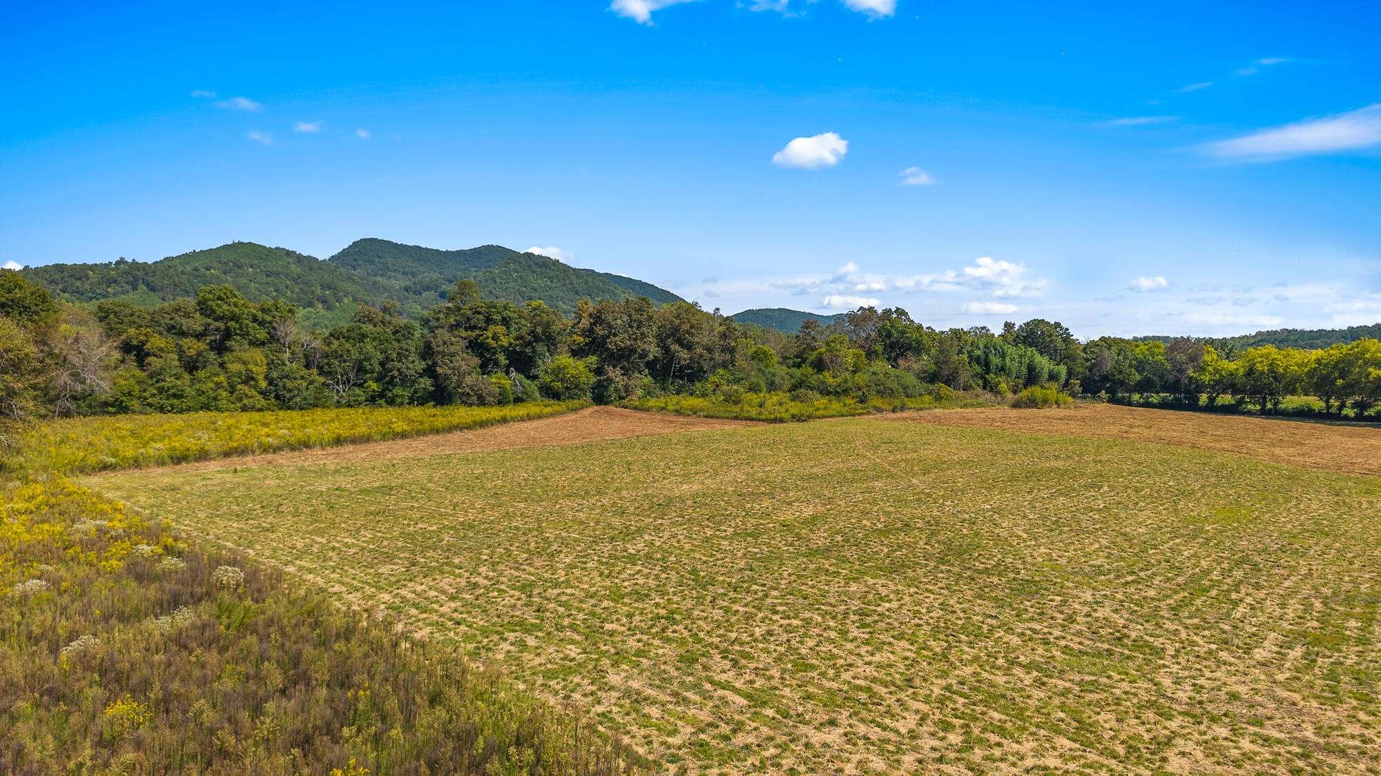 0 Tree Top Lane, Tellico Plains, TN 37385