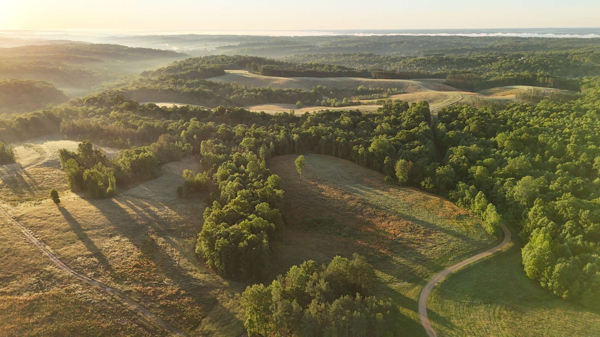 0 Seven Mile Ridge Rd, Indian Mound, TN 37079