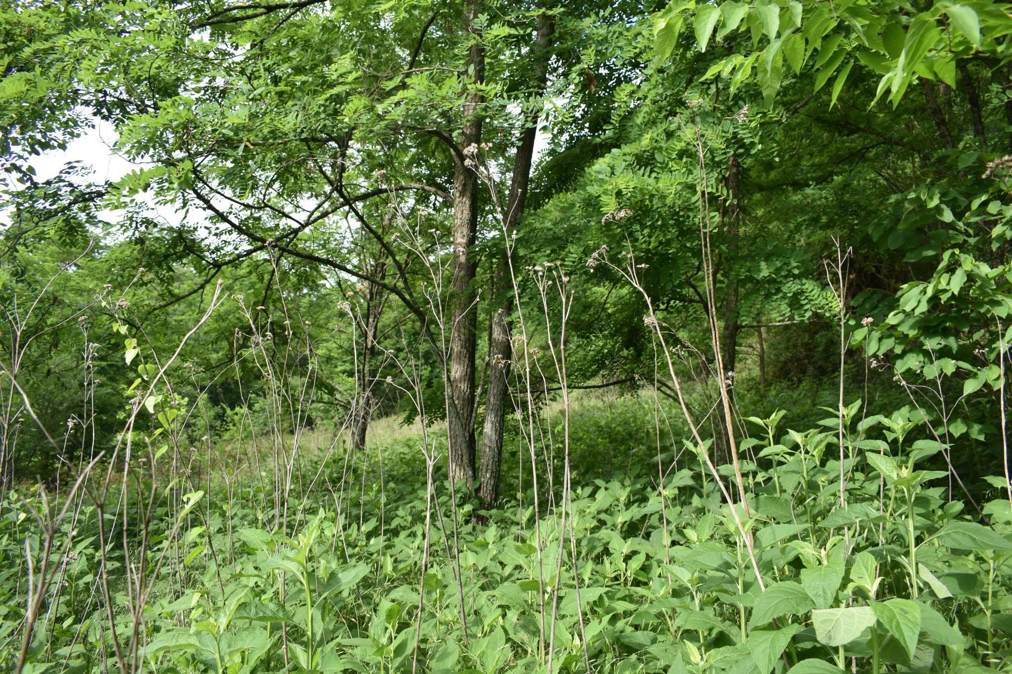 0 Brooks Bend Lane, Gainesboro, TN 38562
