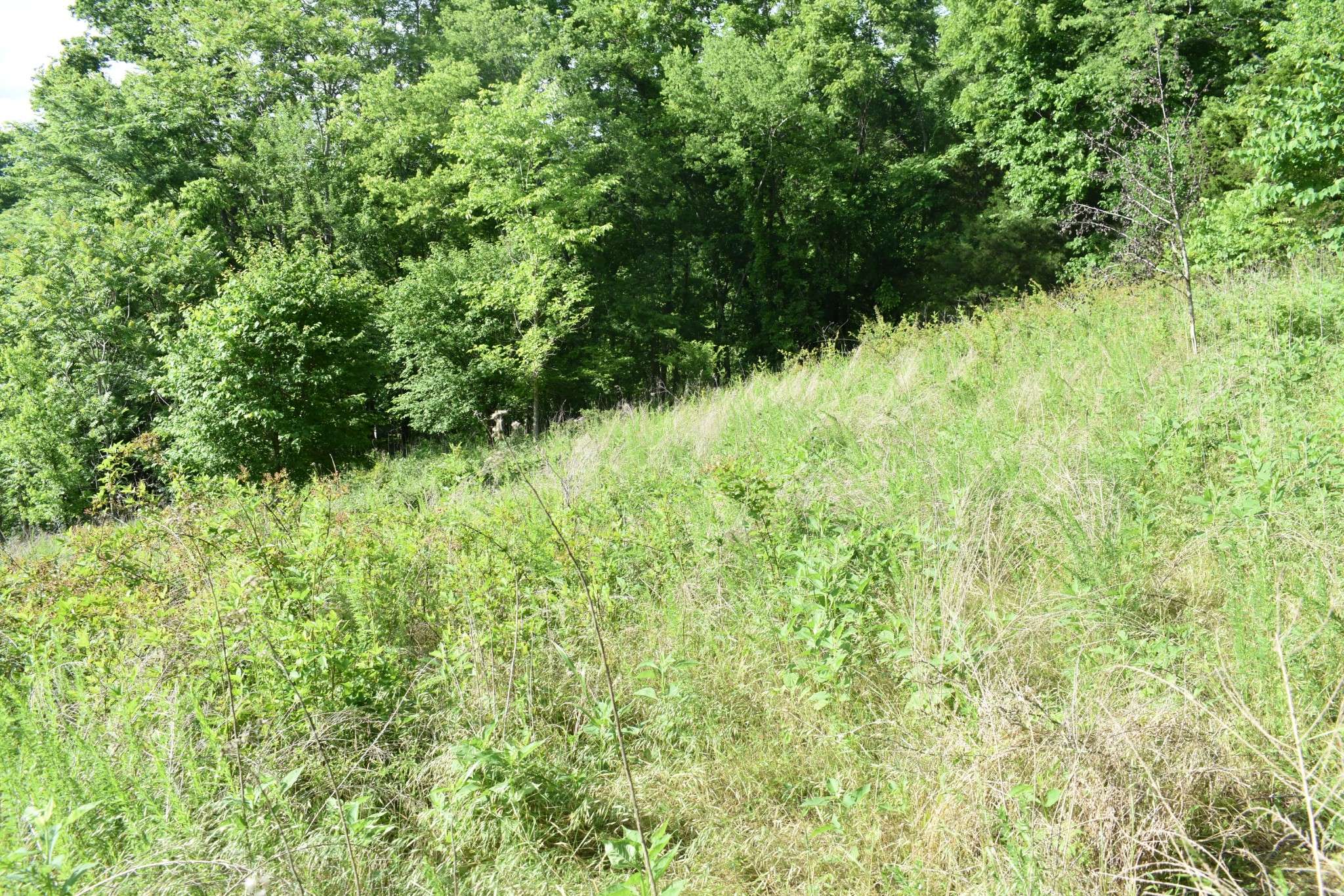 0 Brooks Bend Lane, Gainesboro, TN 38562