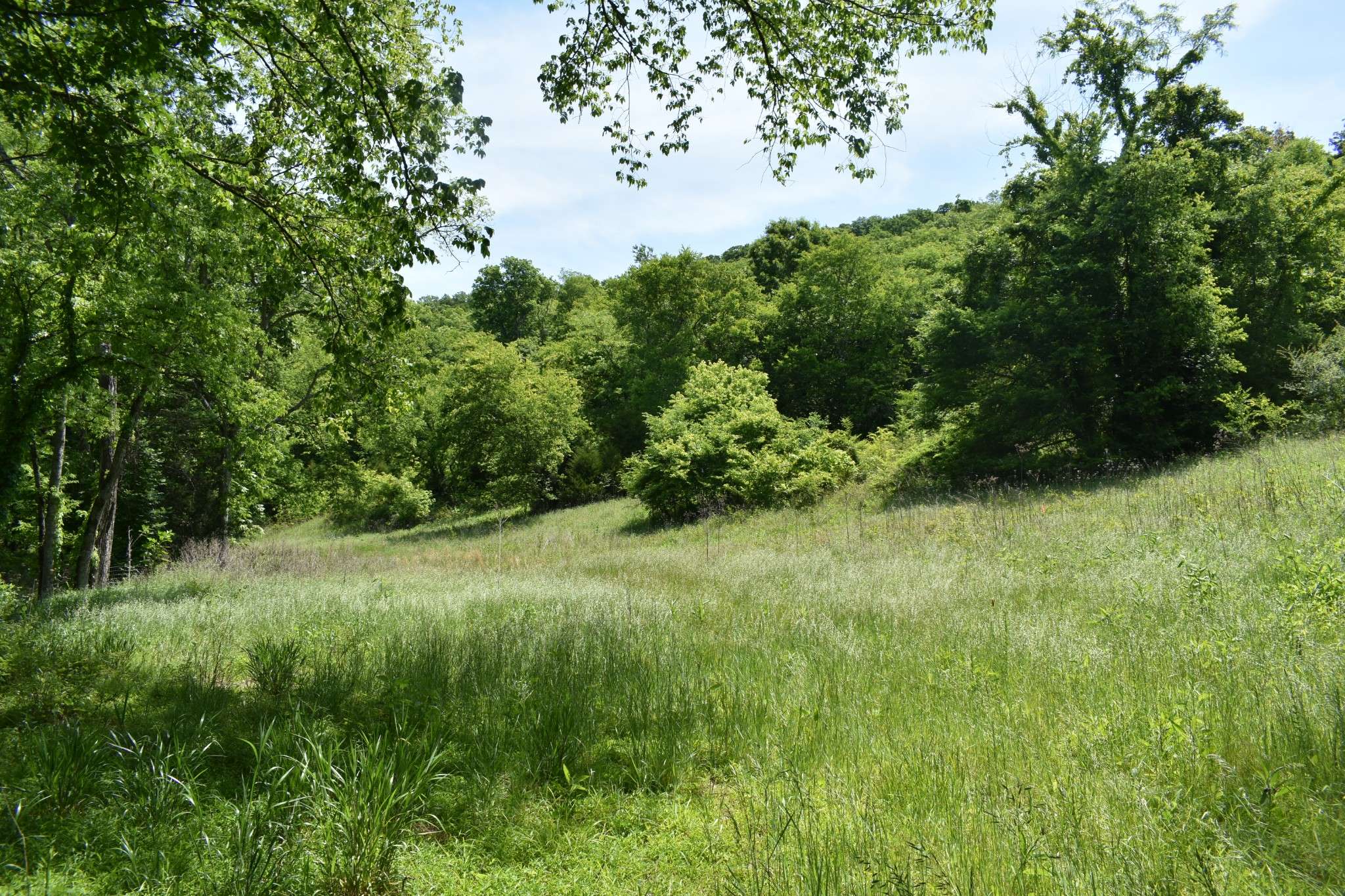 0 Brooks Bend Lane, Gainesboro, TN 38562