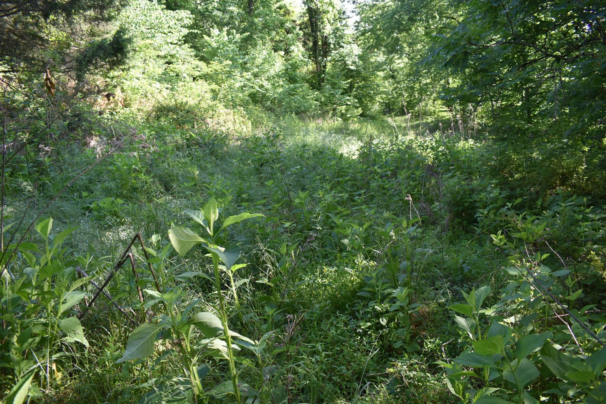 0 Brooks Bend Lane, Gainesboro, TN 38562