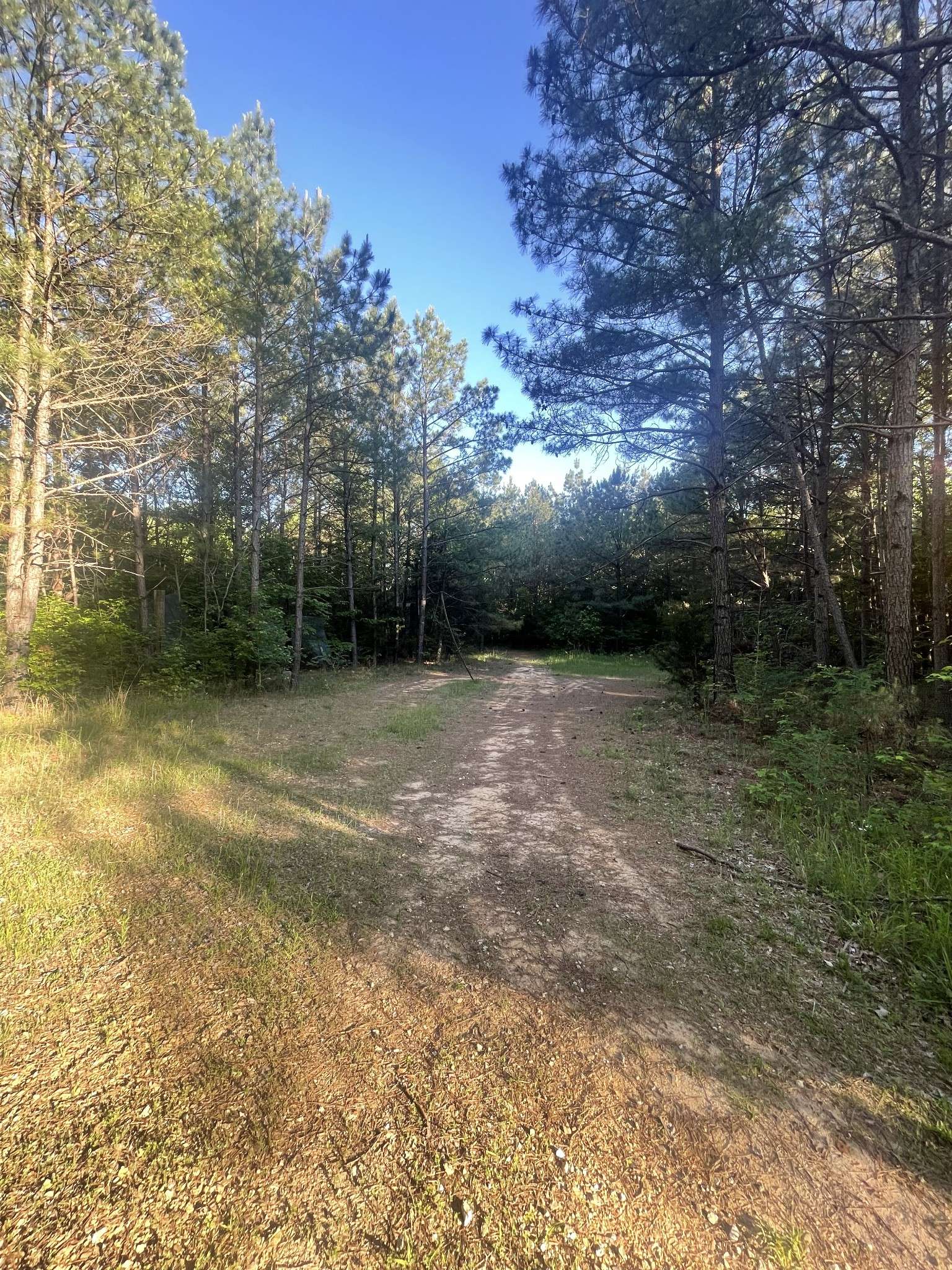 0 Leach Road, Huntingdon, TN 38344