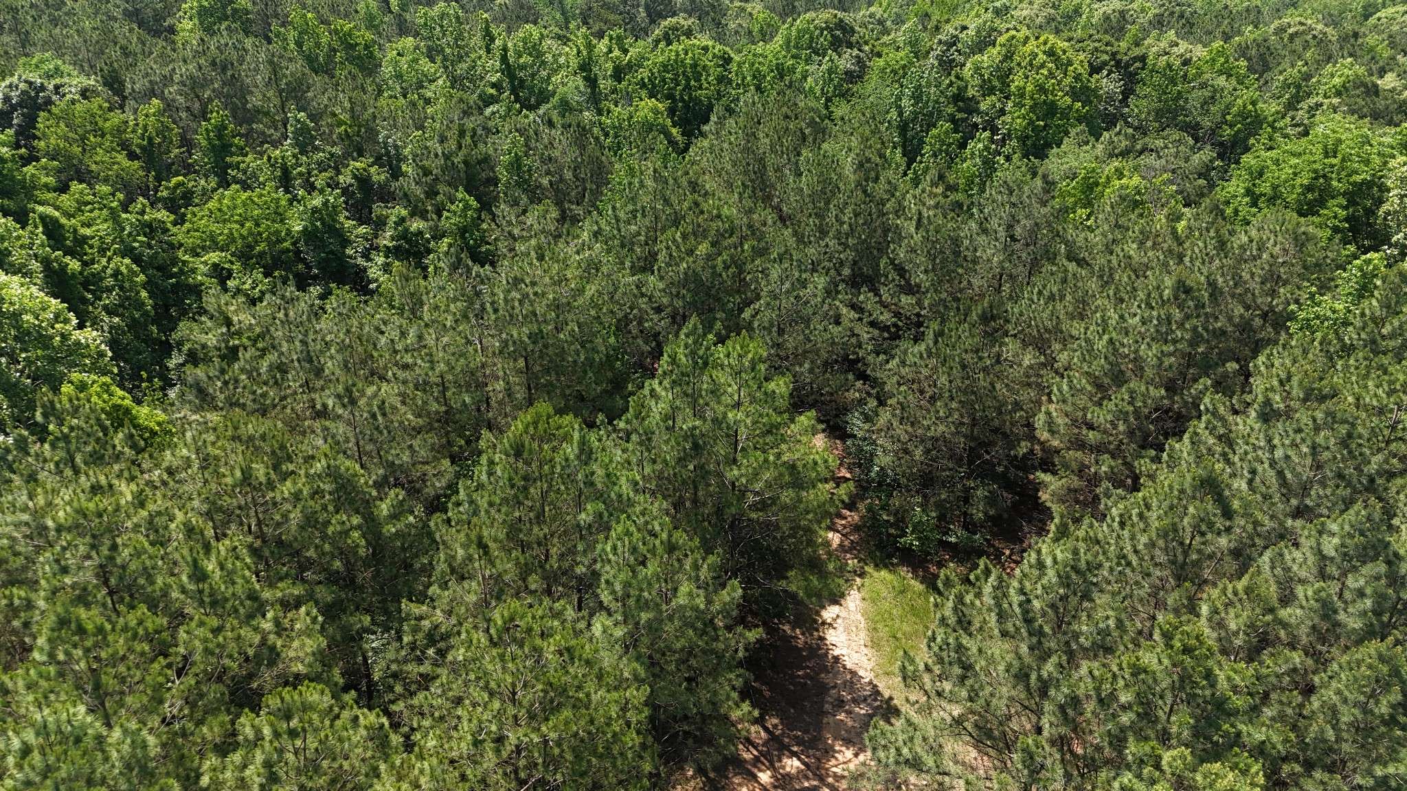 0 Leach Road, Huntingdon, TN 38344