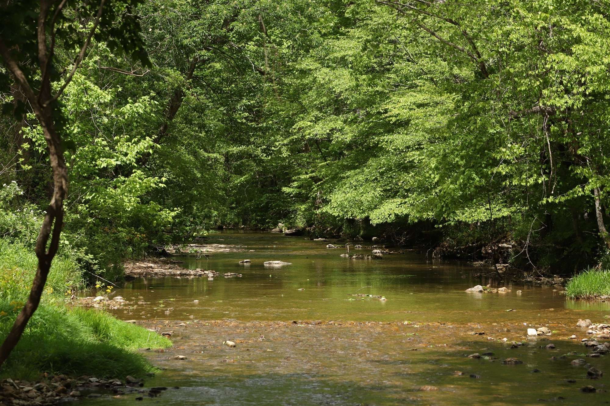 4801 Highway 48, Cumberland Furnace, TN 37051