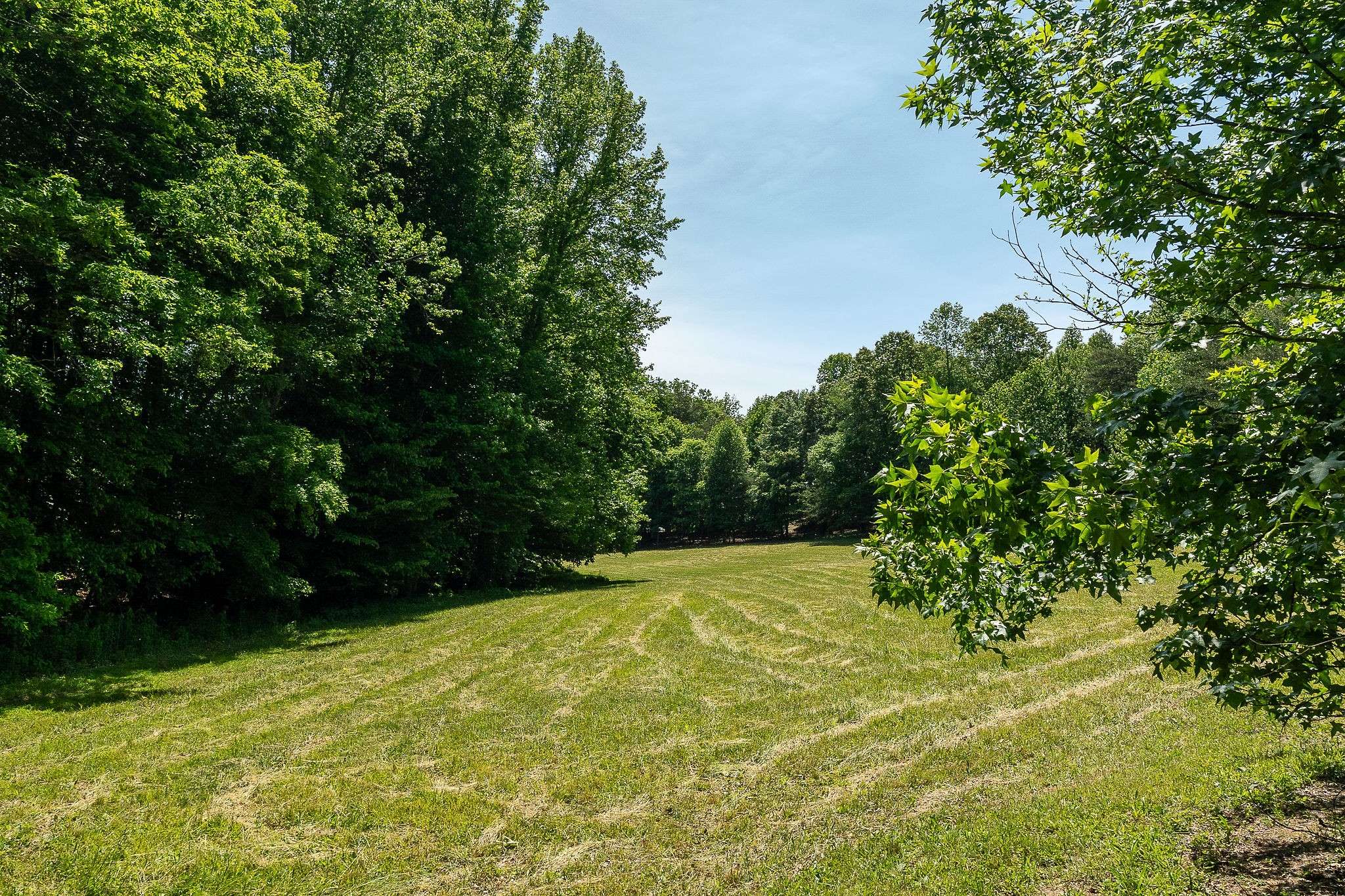 29 Acres Standing Stone Hwy, Hilham, TN 38568