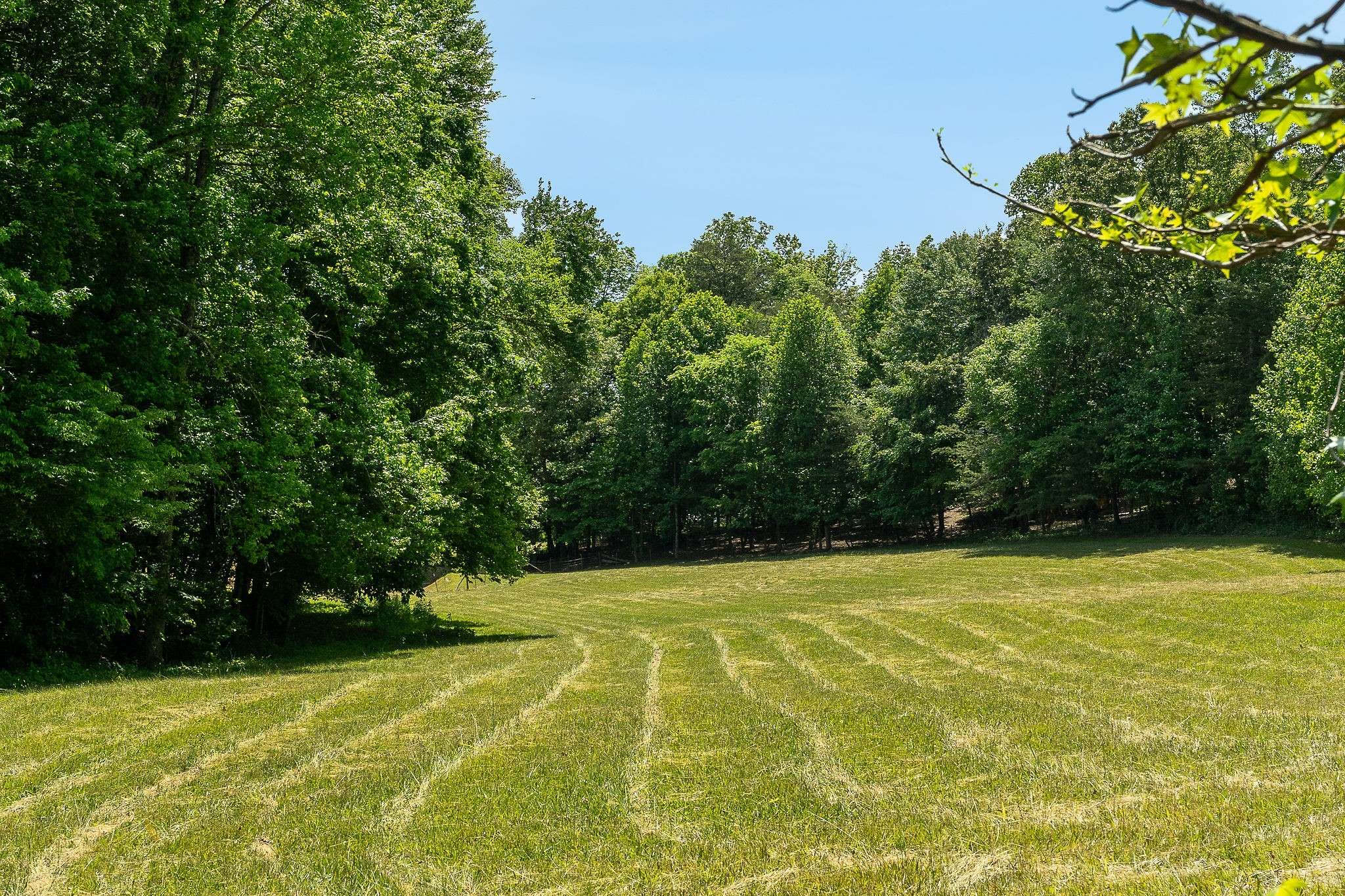 29 Acres Standing Stone Hwy, Hilham, TN 38568