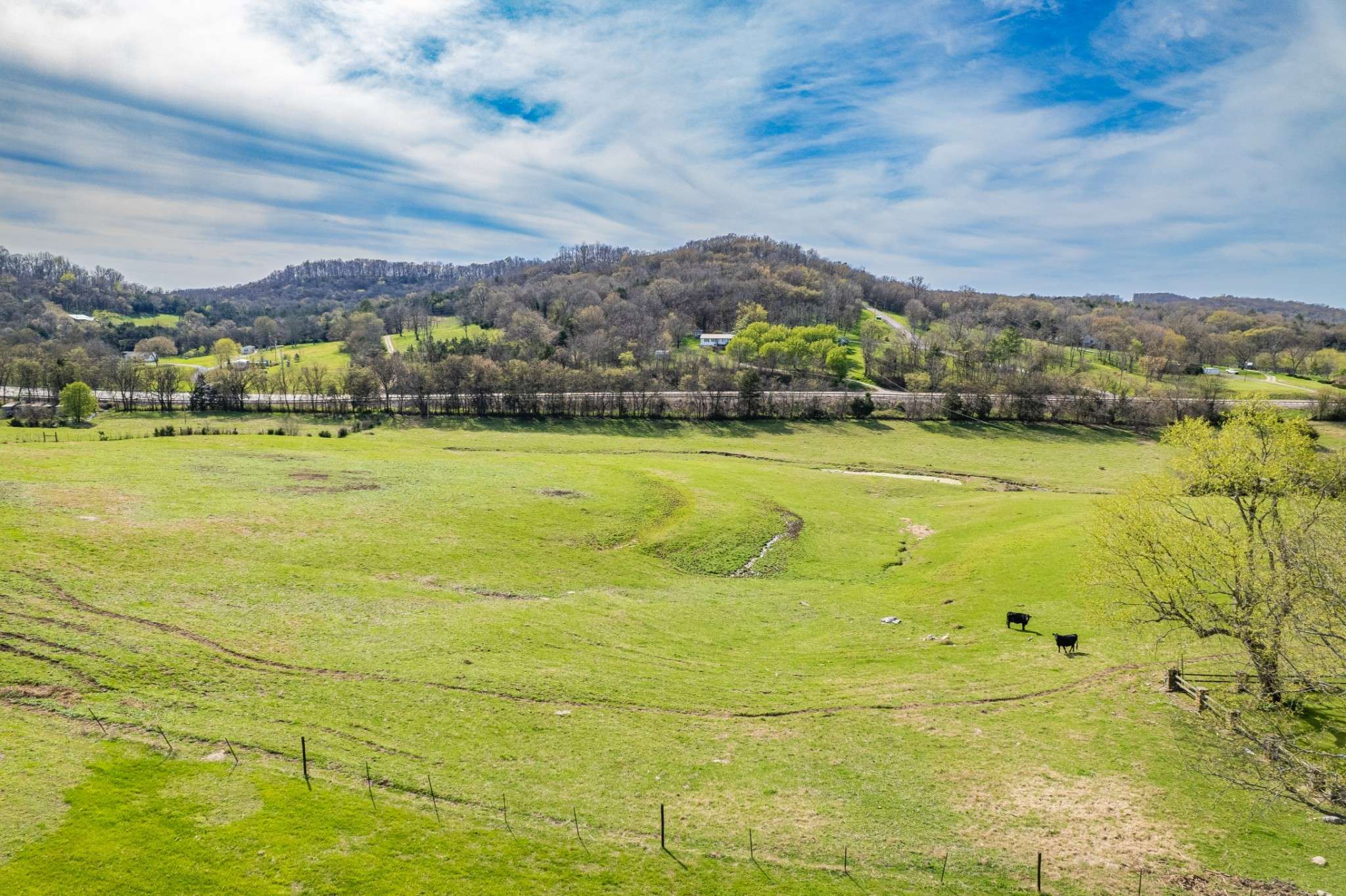 1839 Polly Adams Rd, Belfast, TN 37019