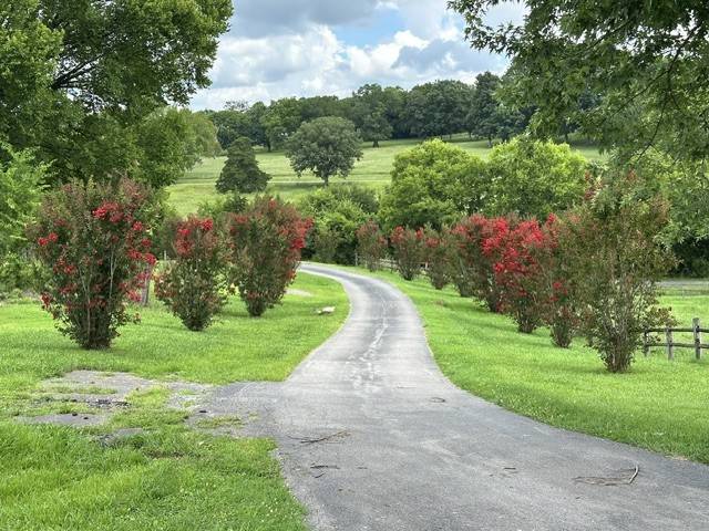 1839 Polly Adams Rd, Belfast, TN 37019