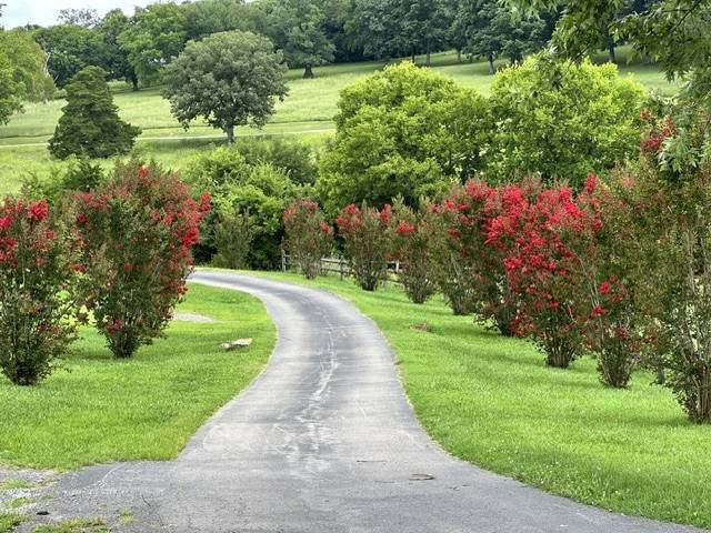 1839 Polly Adams Rd, Belfast, TN 37019