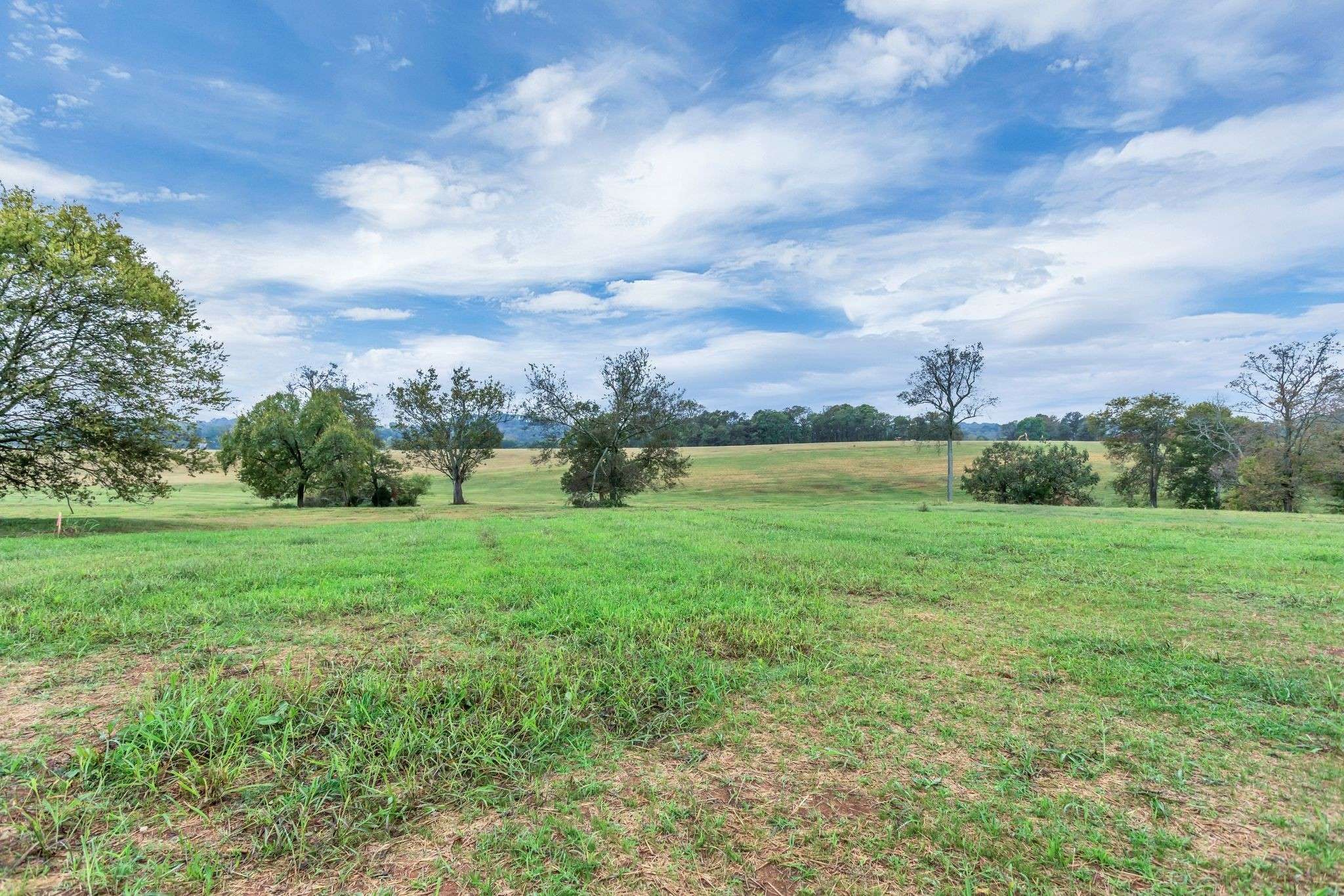 1629 John Sharp Rd, Spring Hill, TN 37174