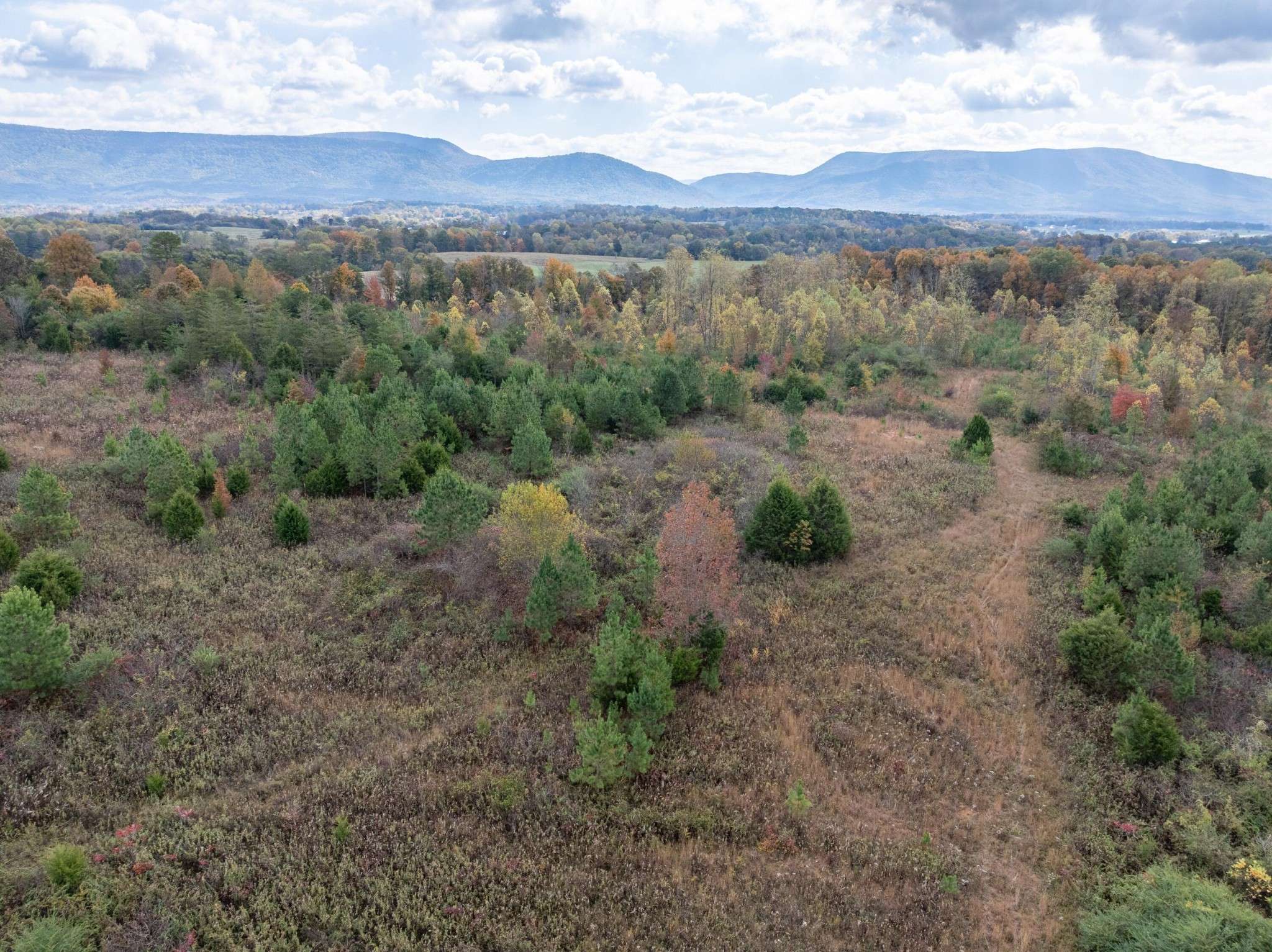 0 County Road 788, Etowah, TN 37331