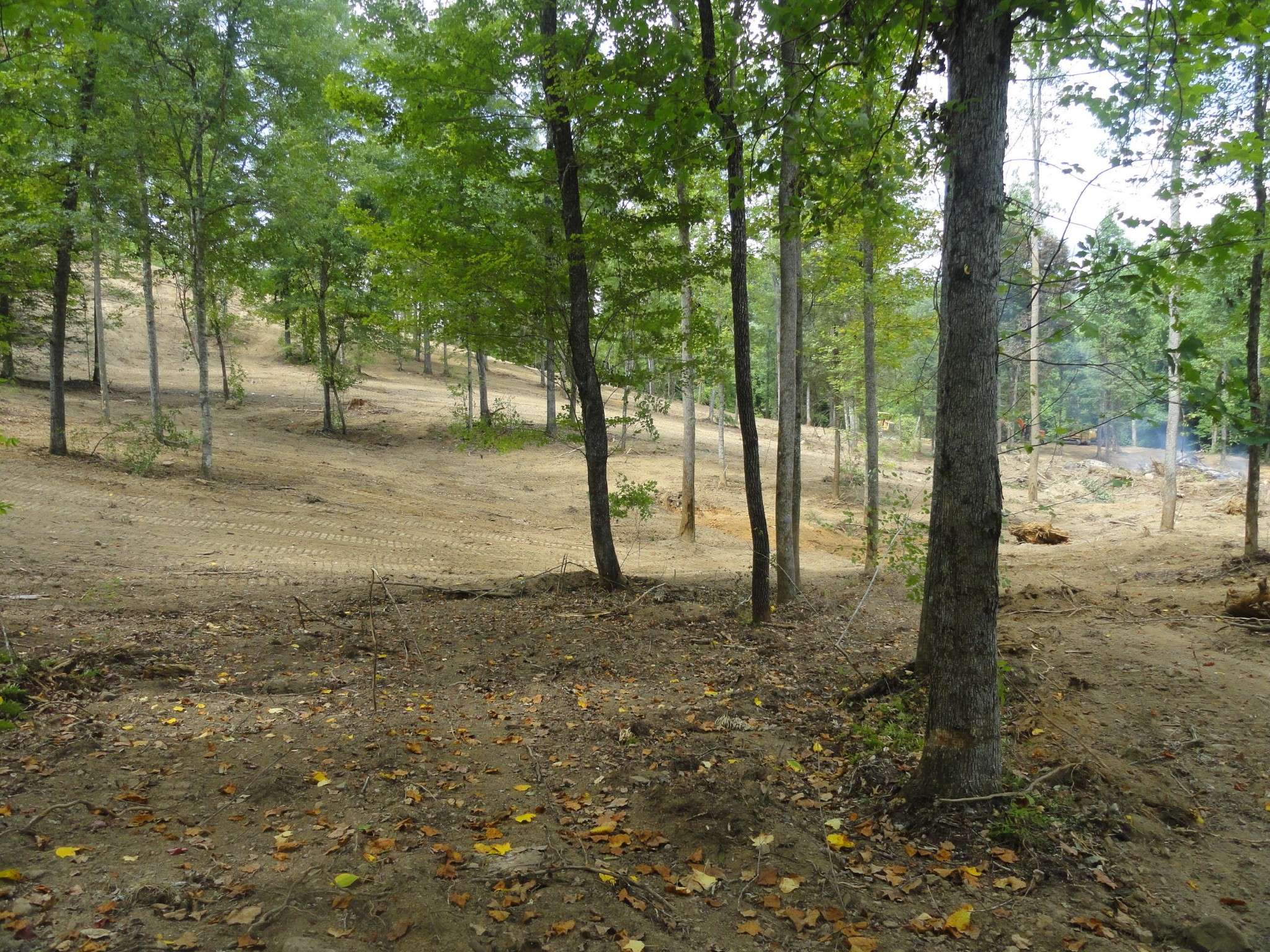 2277 Tellico Reliance Road, Reliance, TN 37369
