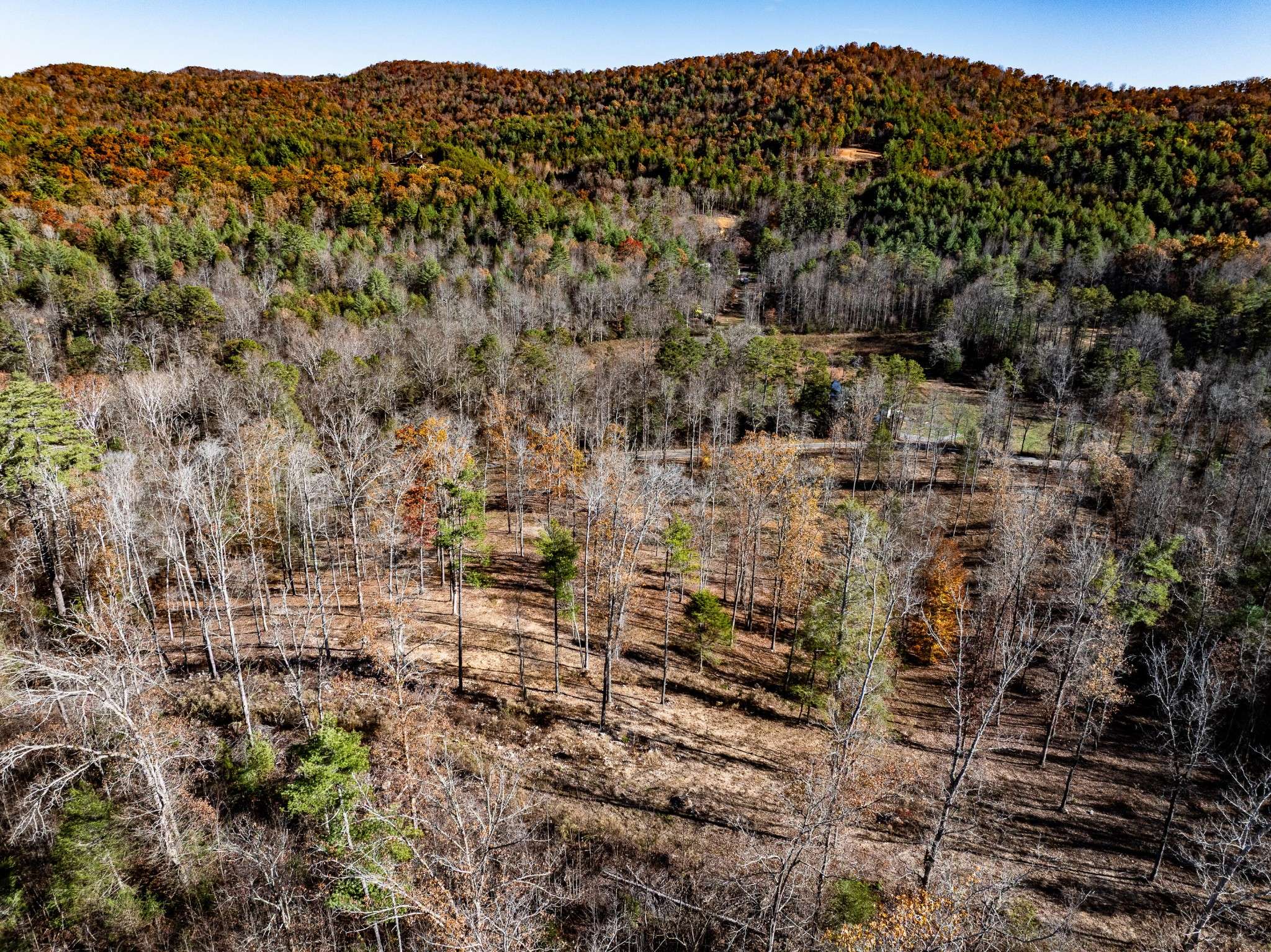 2277 Tellico Reliance Road, Reliance, TN 37369
