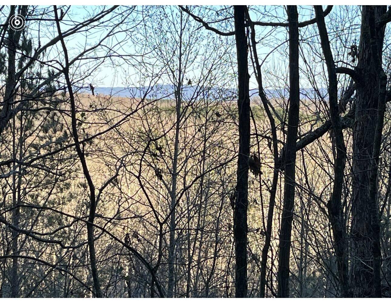 0 County Road 956, Calhoun, TN 37309