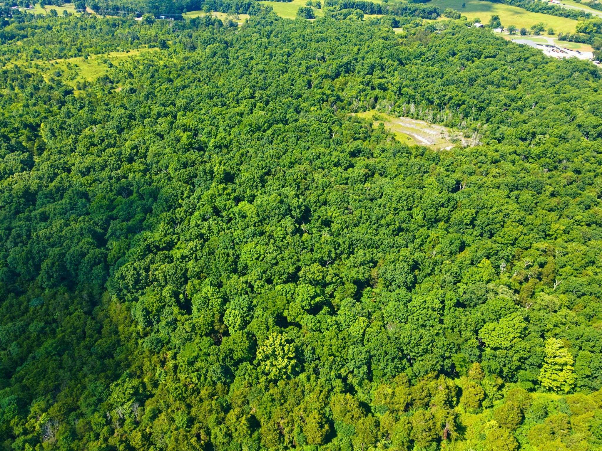 0 Kedron Road, Spring Hill, TN 37174