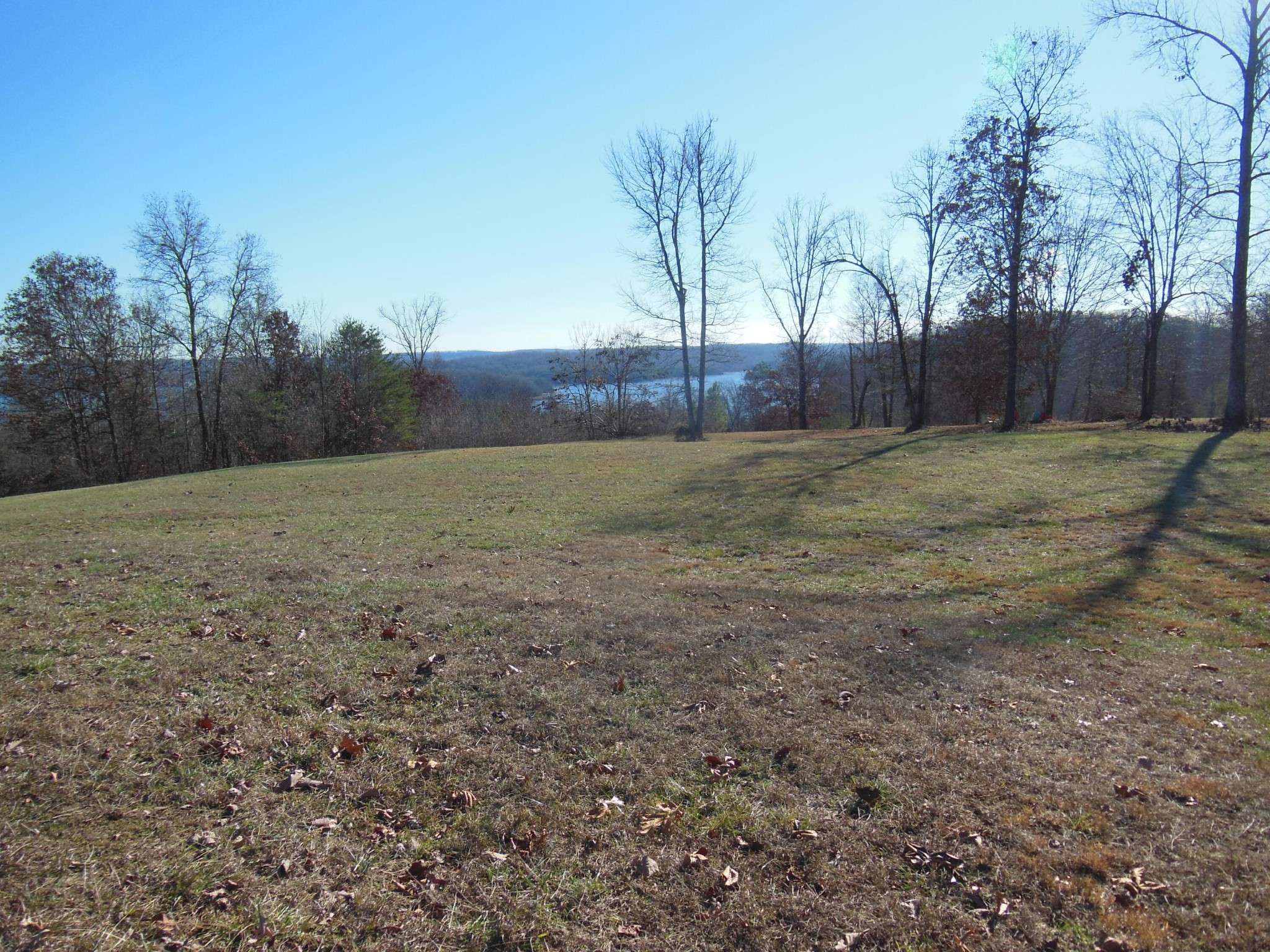 140 Quail Hollow Cove, Spring City, TN 37381