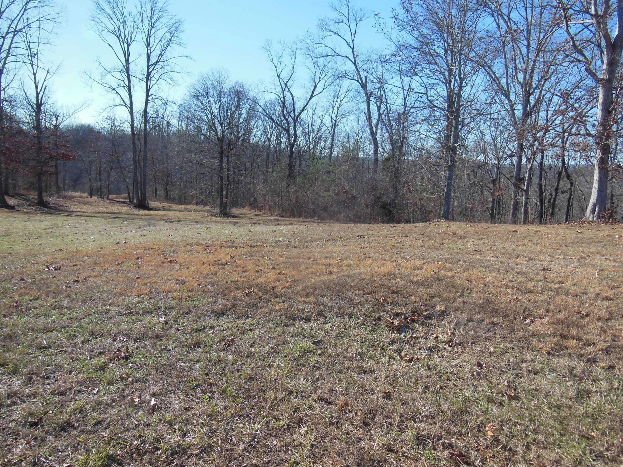 140 Quail Hollow Cove, Spring City, TN 37381